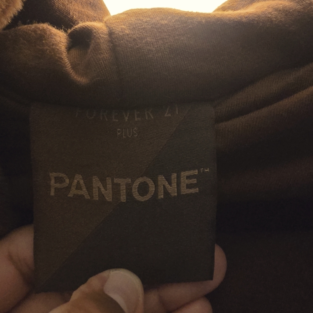 Forever 21 Chocolate Faux Fur Coat - Picture 3 of 4
